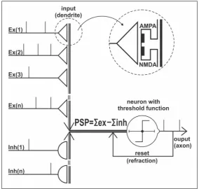 Figure 1. Simplified diagram of firing cell (FC)-Neuron Model. In the dotted circle the so called spine coincidence detector for weight changes based upon the biological mechanism of the long term synaptic potentiation (LTP)