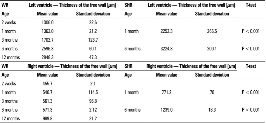 Figure 8. Graphical representation of the comparative analysis of the morphometric parameter thickness of the free wall of the left (LV) and right ventricle (RV) in normotensive Wistar rats (WR) and spontaneously hypertensive rats (SHR).