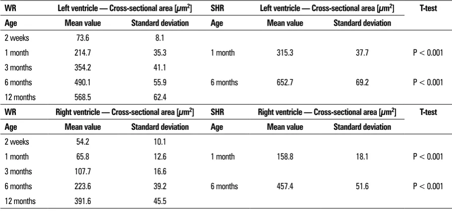 Figure 9. Graphical representation of the comparative analysis of the morphometric parameter cross-sectional area of the cardiomyocytes in normotensive Wistar rats (WR) and spontaneously hypertensive rats (SHR); LV — left ventricle; RV — right ventricle.
