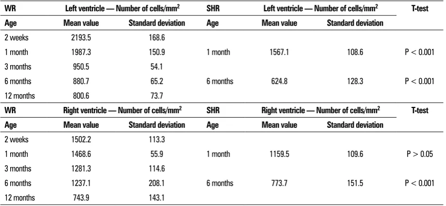Figure 12. Graphical representation of the comparative analysis of the morphometric parameter cardiomyocytic density in normotensive Wistar rats (WR) and spontaneously hypertensive rats (SHR); LV — left ventricle; RV — right ventricle.