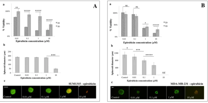 Figure 9: 2D vs 3D cell culture sensitivity to epirubicin.  (A) SUM1315 and (B) MDA-MB-231 cell line sensitivity to epirubicin  (0.01, 0.1, 1, 10 μM) was assessed in 2D and 3D cell culture conditions after 5 days of treatment