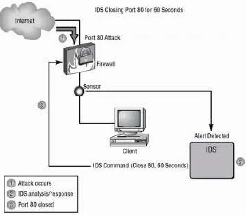 Figure 1: IDS in practice.