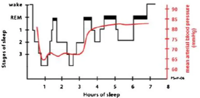 Fig. 1.1. Example of a sleep pattern and blood pressure in a healthy individual throughout a typical night of sleep
