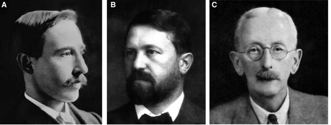 Fig. 3. (A) Frederick E. Weiss (1866-1953), (B) Theodor Boveri (1862-1915) and (C) Edwin S