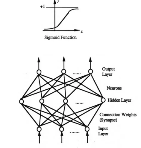Figure 2.1 Biologically-Inspired Neurocomputing Model — Multiple-Layered  Perceptron with One Hidden Layer