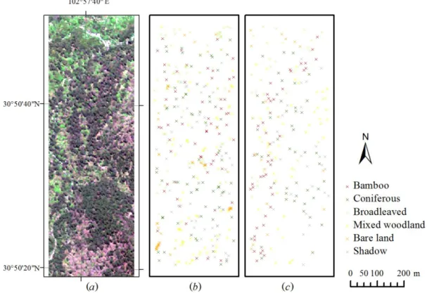Figure 3. Image of study area and sample points: (a) WorldView-2 image of Dengsheng  Ditch (true colour composite), (b) the spatial distribution of training samples, and (c) the  spatial distribution of testing samples
