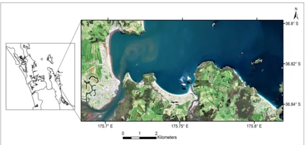 Figure  3.1.  QuickBird  image  of  the  Coromandel  study  area.  The  coordinate  is  in  NZTM2000 projection system