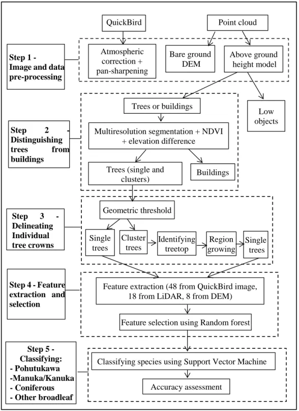 Figure 3.2. Workflow of tree species classification    Step 1 - Image and data pre-processing  