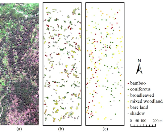 Figure 5. Image of study area and sample points in Wolong: (a) WorldView-2 image  of  Dengsheng  Ditch  (true  colour  composite),  (b)  training  sample  segments,  and  (c)  reference data