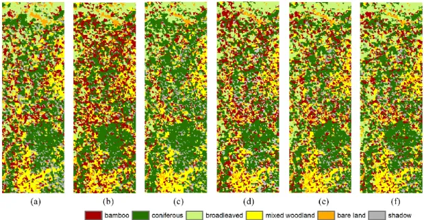 Figure  7.  Classification  in  Wolong  using  six  methods:  (a)  Bayesian,  (b)  DTC,  (c)  SVM, (d) k-NN, (e) gk-NN, and (f) MPk-NN