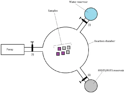 Figure 1. Schematic top view of the reaction chamber used to coat samples with PFDTS and FOTS