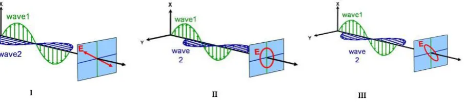 Figure 3. Polarization of light in three different forms: linear (I), circular (II), and elliptical (III)