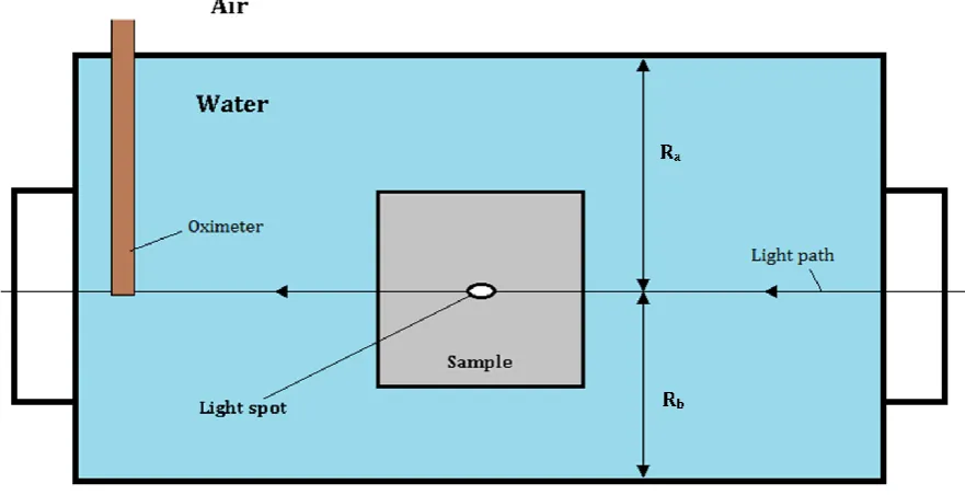 Figure 10. Schematic front view of the liquid cell during measurement.