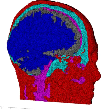 Figure 4.1: Layered cut through a 5 million element head mesh - The mesh was created with Cgal from a segmentation of a CT and an MRI scan of the same person and contains the following tissues: scalp, skull, cerebro-spinal fluid, grey and white matter, and