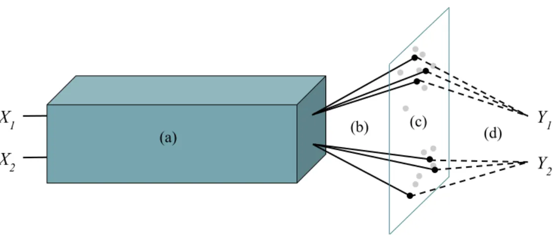 Figure 5.1: General setup for pseudo-task augmentation with two tasks. (a) Underlying model