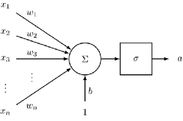 Figure 1: A single neuron 