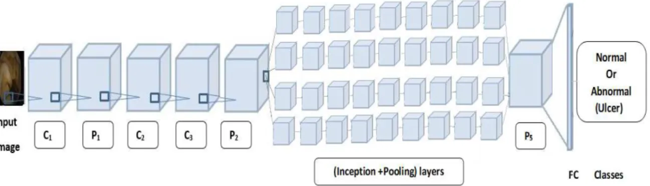 Figure 1. GoogLeNet architecture. Symbols C  refer to convolution layers, P  refer to pooling layers  Figure 1