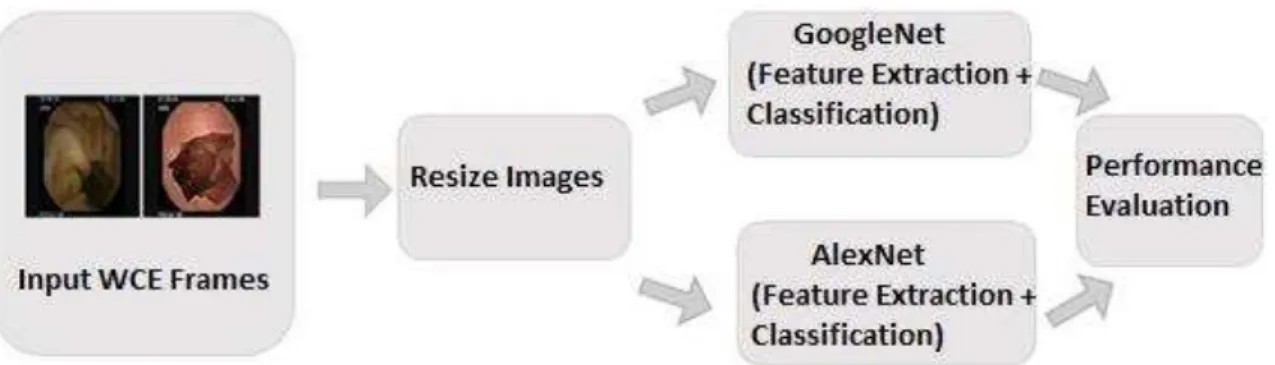 Figure 4 shows sample ulcer images.