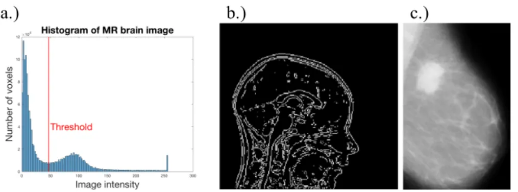 Figure 1.2: Segmentation based on a.) image intensities [28], b.) gradients and c.) texture [116].