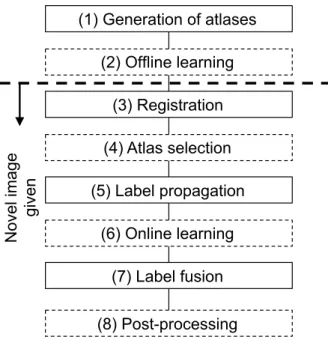 Figure 1.6: Components of MAS. Optional components are indicated by the dashed boxes. Figure from Iglesias and Sabuncu [105]