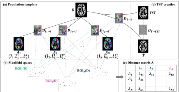 Figure 1.7: Overview of our approach. The population template G is con- con-structed from individual atlases offline (a)