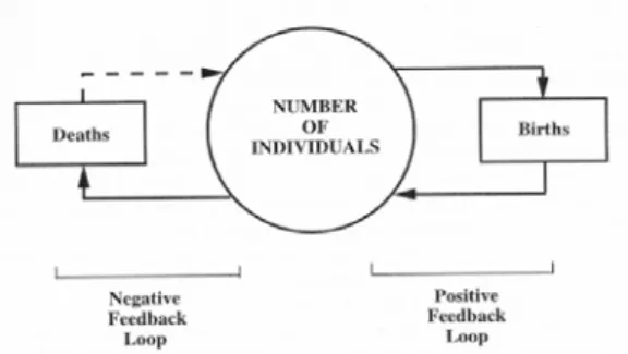 Fig. 3.  System control using positive and negative feedback loops [5] 
