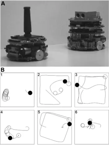 Figure 4. Coevolution of predator and prey robots. A) The predator robot (right) facing the prey robot (left)