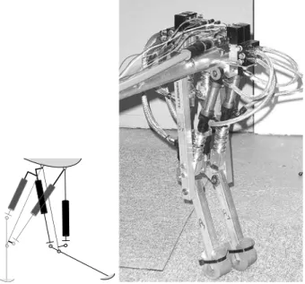 Figure 2: The ﬁtness measurement and balancing rod system (top view).