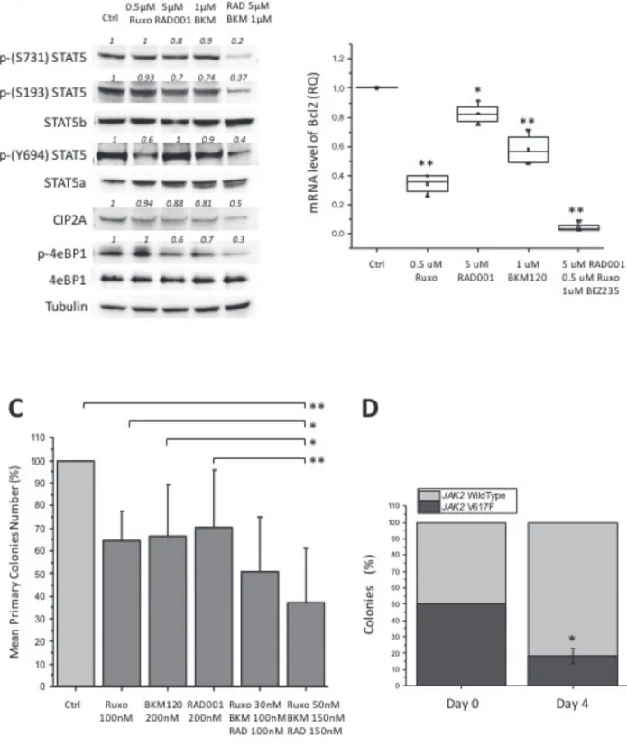 Figure 5: Effects of combining BKM120, RAD001 and ruxolitinib (triple drug combination) in different MPN models