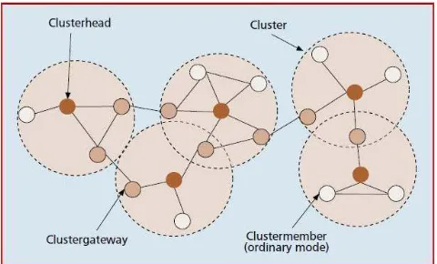 Figure 1: Cluster Structure    