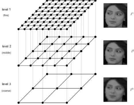 Fig. 2. Multigrid Hierarchy. Schematic view of a grid definition for image processing (image from ORL face database, cf