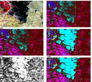 Figure 12. Anantapur data set. (a) False color composite. (b) MLC classificAnantapur data set