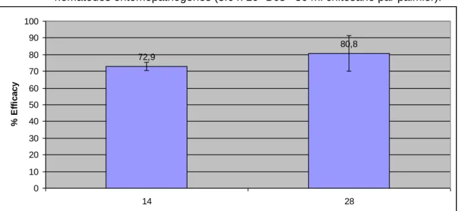 FIGURE  1:  Results  of  the  curative  assay:  Efficacy  of  S.  carpocapsae  in  a  chitosan  formulation in P