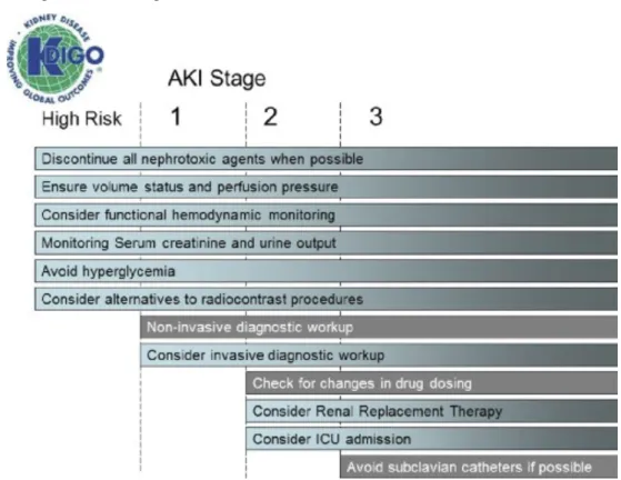 Figure	1.9:	Stage-based	management	of	AKI	 	 Shading	of	boxes	indicates	priority	of	action:	solid	shading	indicates	actions	that	are	equally	appropriate	at	all	 stages	whereas	graded	shading	indicates	increasing	priority	as	intensity	increases.	AKI:	acute	