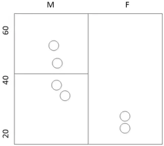 Figure 2.3: A example 2-anonymous data using Mondrian