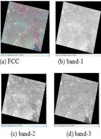 Figure 4. Geo-coded image data set using NN resampling 