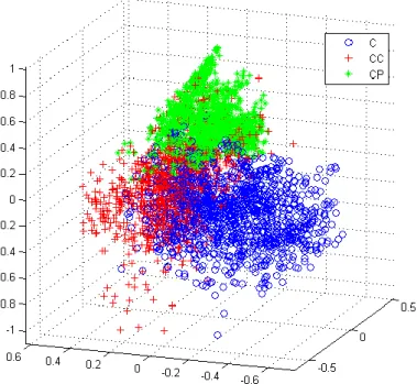 Fig. 2. Distribution of the types of cane in the Principal Components space. 