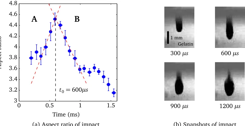Figure 4.3: In ﬁgure (a) the aspect ratio of the impact as function of time is shown. Theaspect ratio is the maximum length of the impact divided by the maximum width of theimpact