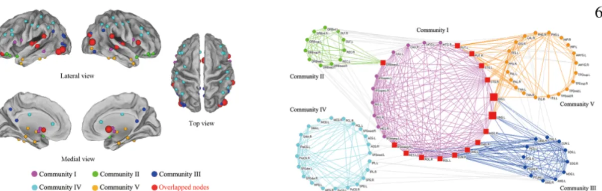 Figure 1.2: Detection of overlapping communities in a brain network using fMRI measurements.