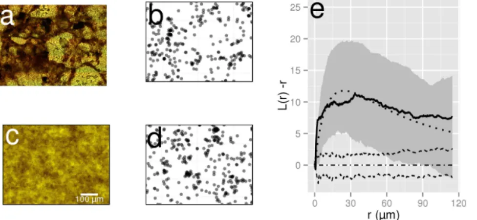 Table 1. General properties of all observed distribution maps of bacteria at different depths in soil.