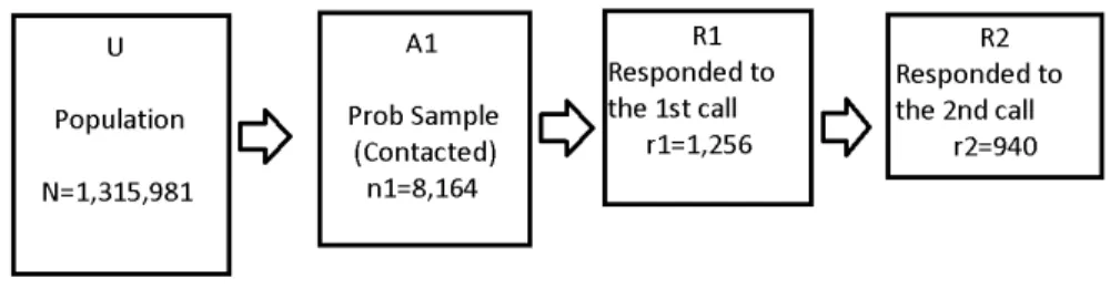 Figure 5.1 Sample structure of 2012 Iowa Caucus Survey