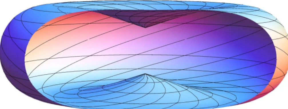 Figure 3. A picture of the sub-Riemannian sphere defined by d 0 = 1.