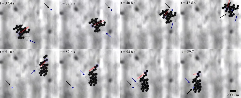 Fig. 15.Micromanipulation of a triangular micro-object towards reference positions using a cluster of micro particles at various timeposition and the center of mass of the micro-object)