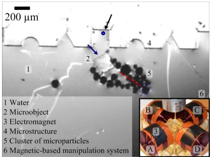 Fig. 1.Magnetic-based micro assembly operation: the cluster of microparticles (5) pushes the micro object (blue arrow) into the micro structure (4)by moving towards a given reference position (black arrow)