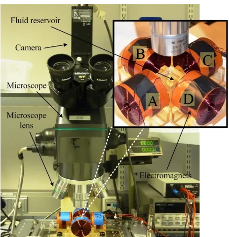 Fig. 2.The effect of an external magnetic ﬁeld of 4 mT on the shape ofa cluster of micro particles