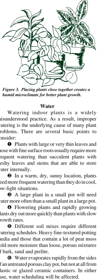 Figure 3.  Placing plants close together creates a humid microclimate for better plant growth.