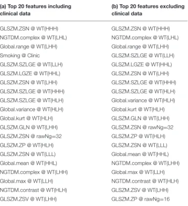 TABLE 2 | Top 20 features for SCLC/NSCLC classification in descending order of feature correlation with the target vector.