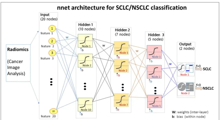 FIGURE 2 | The nnet architecture of the radiomics-based SCLC/NSCLC classifier. This figure presents the input layer with 20 nodes receiving 20 radiomic features, the 3 hidden layers for non-linear mapping, and the output layer with 2 nodes for “SCLC” and “