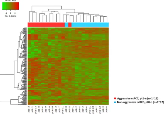 Figure 1. Unsupervised hierarchical clustering analysis (red, high relative expression; green, low  relative expression) in aggressive clear cell renal cell carcinomas (ccRCC) patients (n = 12, red) versus  matched pairs of non-aggressive ccRCC patients (n