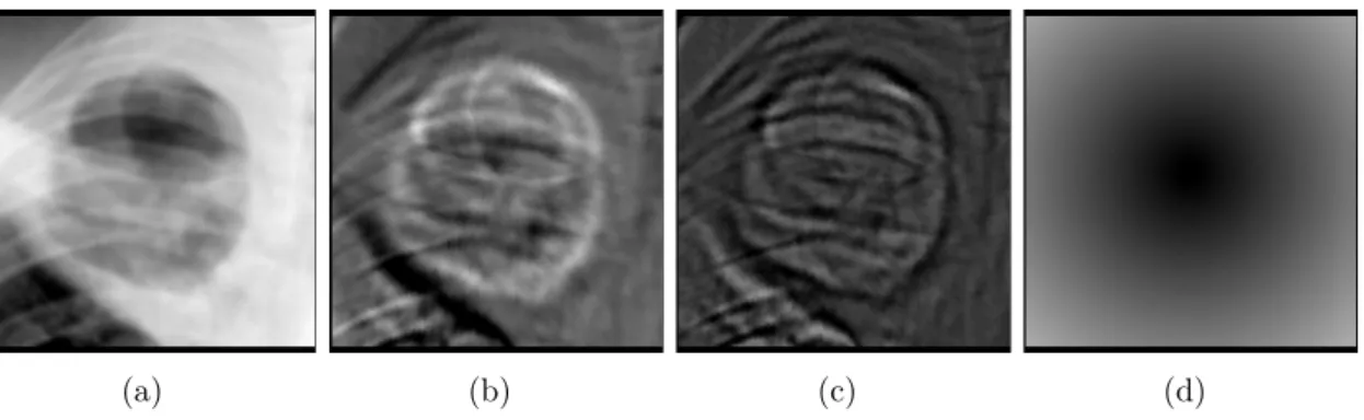 Figure 3.6: Response images of radial features: (a) Cavity subimage (center represents the input), (b)-(c) First and second order directional gradient filter at scale σ = 2